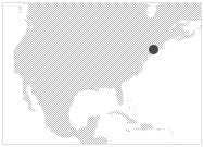 DataMomentum USA